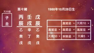 菜々緒命式